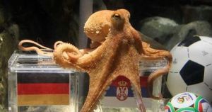FBL-WC2010-GERMANY-ANIMALS-THEME-OCTOPUS-OFFBEAT